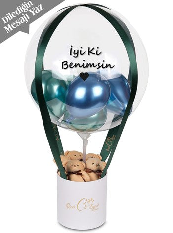 Care Bear Balon Kutusu Kişiye Özel