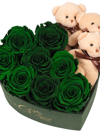 Green Box Solmayan Yeşil Gül ve Ayıcık