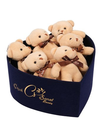 Blue Box Teddy Bear- Ayıcık Kutusu