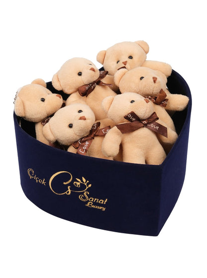 Blue Box Teddy Bear- Ayıcık Kutusu