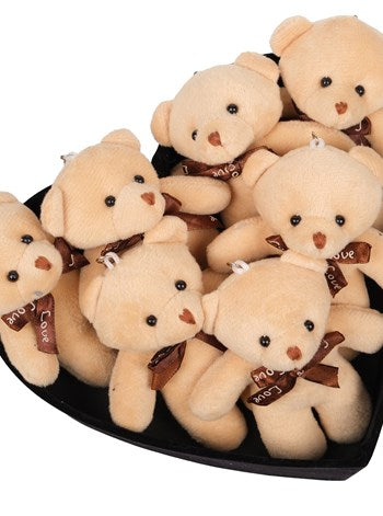 Black Box Teddy Bear- Ayıcık Kutusu