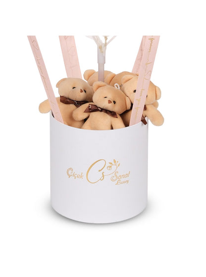 Teddy Balon Kutusu Kişiye Özel